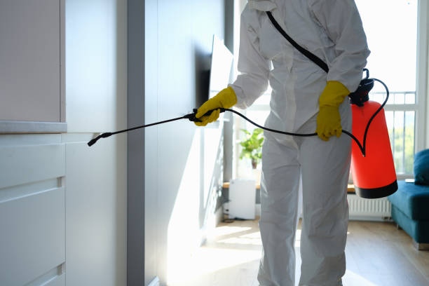Best Crawl Space Mold Removal  in Wabasso Beach, FL